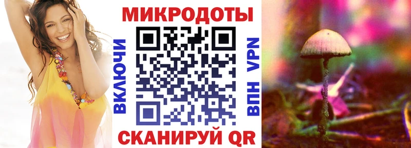 закладки  Коломна  Галлюциногенные грибы Psilocybine cubensis 