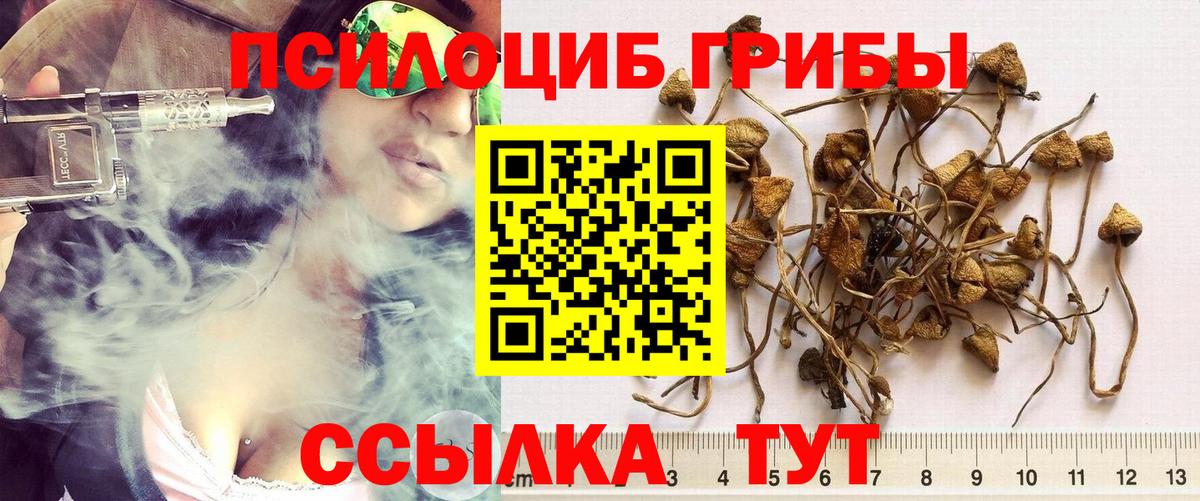Галлюциногенные грибы ЛСД Коломна