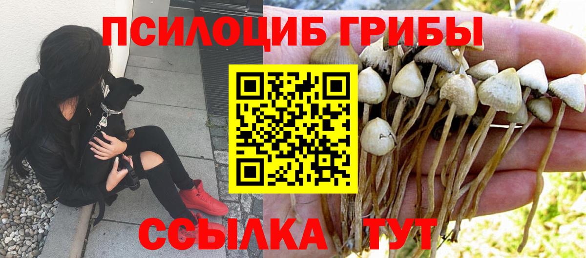 Галлюциногенные грибы мицелий  Вход с VPN  Галлюциногенные грибы Magic Shrooms  Коломна 